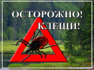 Профилактика клещевого энцефалита и Лайм-боррелиоза