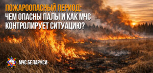 Палы сухой травы: почему они опасны и как избежать трагедии?