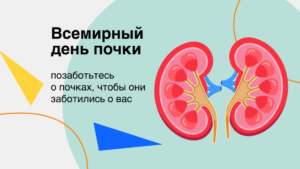 12 марта – Всемирный день почки