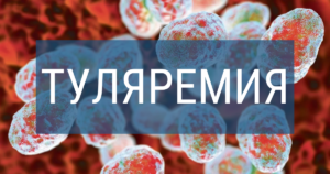 Лето – время отдыха, природы и некоторых опасностей,  в том числе  туляремии