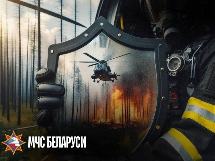 На территории города Гомеля проходит специальное профилактическое мероприятие «Зеленый щит»